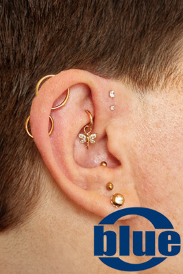 Zwei Orbital Piercings, Lobe, Anti-Tragus, Rook und Forward Helix mit Goldschmuck