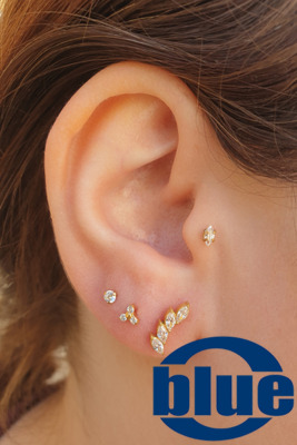 Lobe und Tragus Piercing