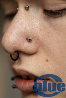 Nasallang-Piercing durch die Nase, Bridge-Piercing, Septum und Snake Bites